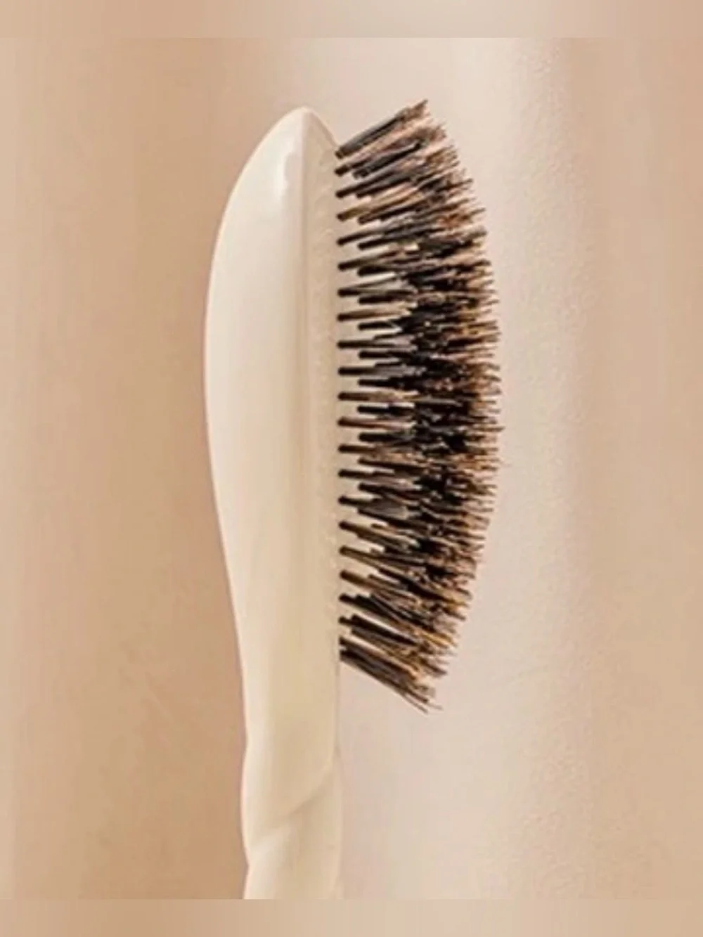 La Bonne Brosse Brush and Brush Cleaner Set